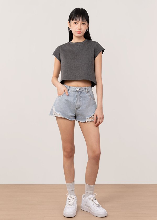 (WHS EXCLUSIVE) The Tencel Tee in Dove Grey
